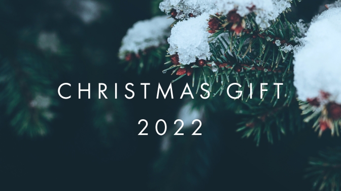 CHRISTMAS GIFT 2022