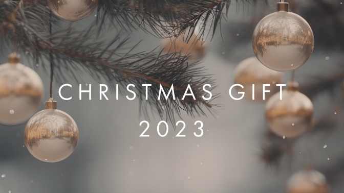 CHRISTMAS GIFT 2023